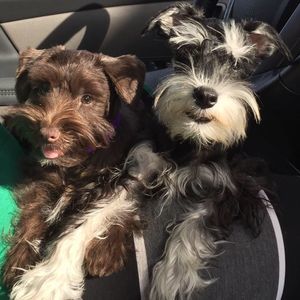 Meet your Posher, Allison